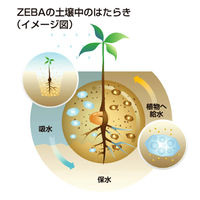 ファイトクローム ZEBA 66006 1個(5kg)（直送品）