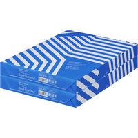 【通常価格・数量制限なし】アスクル アスクルマルチペーパースーパーエコノミーA3 1セット(1冊(500枚)×2) オリジナル