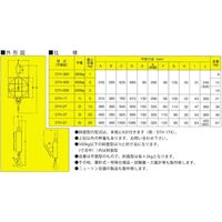 長島衡機工業 アナログ吊りばかり 平面型 500kg/最小目量2kg DTH-500 1台（直送品）