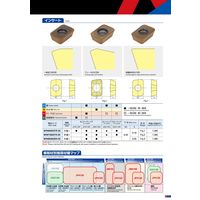 MOLDINO インサート BPNW0603TRー05:JS4160 1セット(10ケ)（直送品）