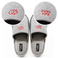 【スリッパ】オクムラ 恐竜刺繍スリッパ M レッド（直送品）