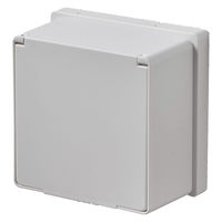 朝日電器 安全コンセントカバー 2連用 ホワイト AN-C02B(W) 1個（直送品）