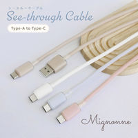 オウルテック シースルー素材 USB-A to USB-C シリコンケーブル ミニョン OWL-CBS1MINAC12-WH 1個（直送品）