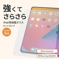 オウルテック iPadA16/第10世代対応 画面保護ガラス(マット) OWL-GSIH1101-AG 1個（直送品）