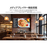 JAPANNEXT 43インチ ワイド 4K液晶ディスプレイ JN-IPS43U-M-H3 1台（直送品）