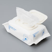 口腔ケアウエットシート 無香料 ノンアルコール ふた付 厚手 80枚入 1ケース（12個入）歯みがきティッシュ ポップアップ 介護 オリジナル