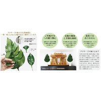 A&K プリザーブドフラワー 荒神松 大 KT-004 1束