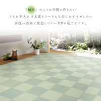 萩原 丸洗いできる抗菌機能付きい草風カーペット 倉間 江戸間6畳 261cm×352cm グリーン 81947360 1枚