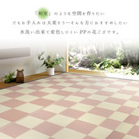 萩原 丸洗いできる抗菌機能付きい草風カーペット 倉間 本間6畳 ベージュ 81955360 1枚（直送品）