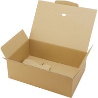 包む 配送用BOX 通販箱 60サイズ 2箱入 TF001 1セット(5袋)