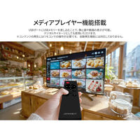 JAPANNEXT 32インチ 液晶ディスプレイ JN-IPS32FW-M 1台（直送品）
