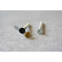 ポッシュリビング 皿頭ねじ アンティークゴールド φ0.6cm×L3cm 64004 1袋（6本入）（直送品）