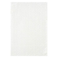 軽梱包用エアー緩衝袋フラップなし240mm×350mm 100枚入り PPFN61 1個（100枚） オリジナル（わけあり品）