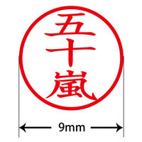 認印 プラス ネームキューブ 五十嵐 ブルー 浸透印 61227 1個（直送品）