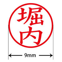 認印 プラス ネームキューブ 堀内 グリーン 浸透印 60599 1個（直送品）