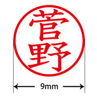 認印 プラス ネームキューブ 菅野 ホワイト 浸透印 59963 1個（直送品）