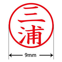 認印 プラス ネームキューブ 三浦 ブルー 浸透印 61806 1個（直送品）