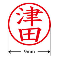 認印 プラス ネームキューブ 津田 ブラック 浸透印 58475 1個（直送品）