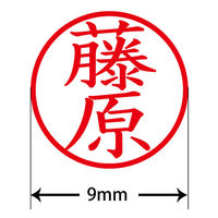 認印 プラス ネームキューブ 藤原 ホワイト 浸透印 60060 1個（直送品）