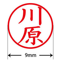 認印 プラス ネームキューブ 川原 ピンク 浸透印 60798 1個（直送品）