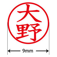 認印 プラス ネームキューブ 大野 ブルー 浸透印 61255 1個（直送品）