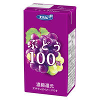 エルビー ぶどう100％ジュース 125ml 1セット(48本) 紙パック