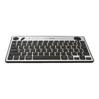 ナカバヤシ 無線 トラックボール搭載キーボード シルバー FKB-R252SL 1個