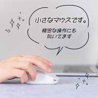 ナカバヤシ 無線静音 軽量ミニマウス 3ボタン BlueLED ホワイト MUS-RKT249W 1個