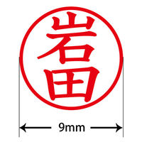 認印 プラス ネームキューブ 岩田 ホワイト 浸透印 59841 1個（直送品）
