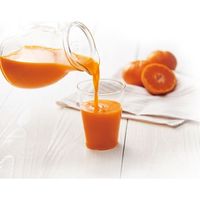 ホシフルーツ 瀬戸内の「島そだち」プレミアムみかんジュース１０本 HFSS-10 1個（直送品）