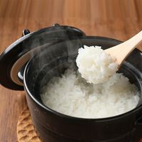 吉兆楽 雪蔵仕込み　新潟県産新之助４ｋｇ ts-013 1個（直送品）