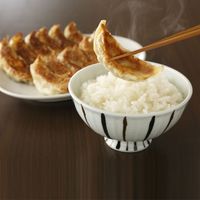 信念フーズ 八王子　信念手造り餃子セット YN-60 1個（直送品）