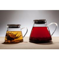 FORLIFE JAPAN フジ ガラスティーポット946mlＳＬＳ 842SLS 1個（直送品）