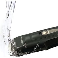 ロゼンスターJPN 水洗いヒゲトリマー GT-672 1個