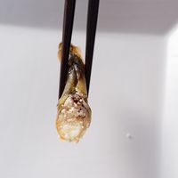 カネダイ大野商店 北海道産　本ししゃも OHS-20 1個（直送品）