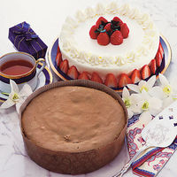 パール金属 デコレーション型 ケーキ型 丸 紙製 19cm 5枚入 アンテノア 224230 1個（直送品）