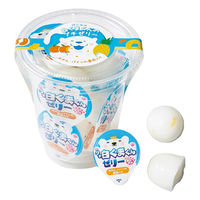 アデリー 【7個入り×12個セット】白くまくんのプチゼリー ORA-366-12 1セット(7個入×12個)（直送品）