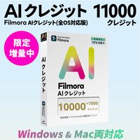 ワンダーシェアーソフトウエア AIクレジット 11000 WS-FAI10000JP 1本