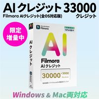 ワンダーシェアーソフトウエア AIクレジット 33000 WS-FAI30000JP 1本