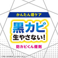 防カビ剤 カビ防止 燻煙剤 らくハピ お風呂カビーヌ くん煙タイプ 無香性 1パック（3個入）黒カビ 浴室 掃除  アース製薬（わけあり品）