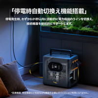 TogoPower ポータブル電源(1200W/1056wh) INFINITY1200 1台（直送品）