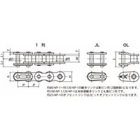 椿本チエイン (株)椿本チエイン コーティングドライブチェーン(NP仕様) RS40ーNPー1ーRPーL 1セット(3L)（直送品）