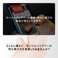カラビナつき耐火ポーチ「MOEZ」 Mサイズ シルバー 耐火温度約1200℃ キズに強く、水をはじく カラビナ付属（直送品）