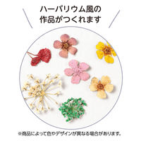 アーテック ドライフラワー 12種 58793 1個（直送品）
