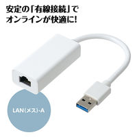 アーテック LAN変換アダプター(USBーA to LAN) 91577 1個（直送品）
