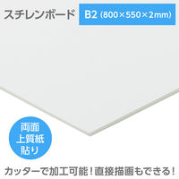 アーテック スチレンボード(両面紙貼) B2 800×550×2mm 53045 1セット(1個×2)（直送品）