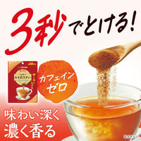 伊藤園 さらさらとける 濃く香る ヘルシールイボスティー 1袋（40g） インスタント 粉末 カフェインゼロ（わけあり品）