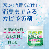 家じゅう置くだけ 防カビ 消臭ビーズ 1個 丹羽久