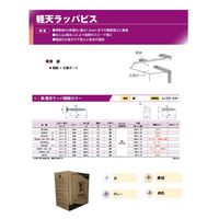 ヱビスファスナー 鉄軽天ラッパビス 頭部カラー白色 尖り先 三価ユニクロ 3.5×51 ER51W 1箱(500本)（直送品）
