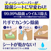 カビキラー アルコール除菌 食卓用 プッシュタイプ 詰め替え用 250ml 1個 住宅用除菌剤 ジョンソン
